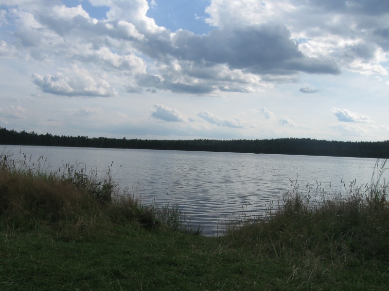 205.jpg